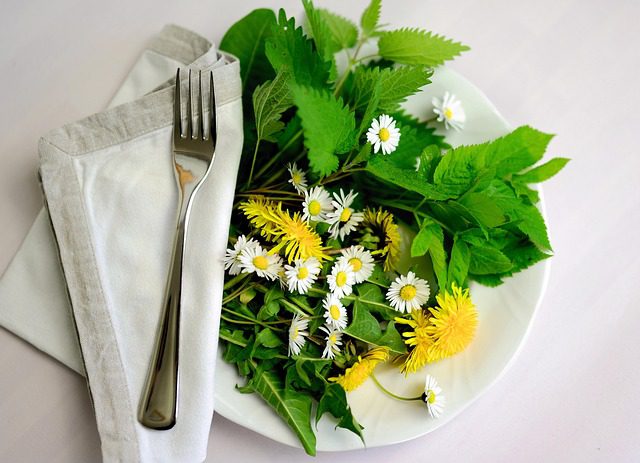 3 plantes indispensables à avoir chez soi pour prendre soin des petits maux du quotidien🌿